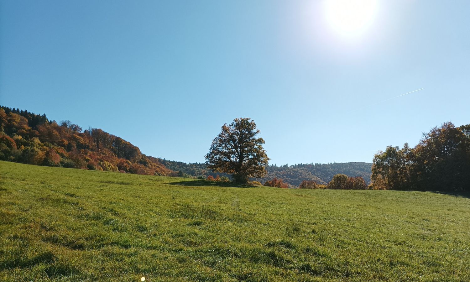 Výhledy